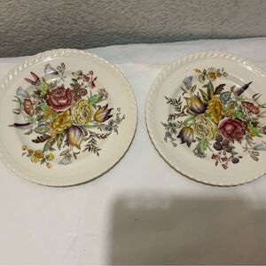 2 Johnson Bros Windsor Ware England GARDEN BOUQUET 6-1/4" Bread/Butter Plate G17